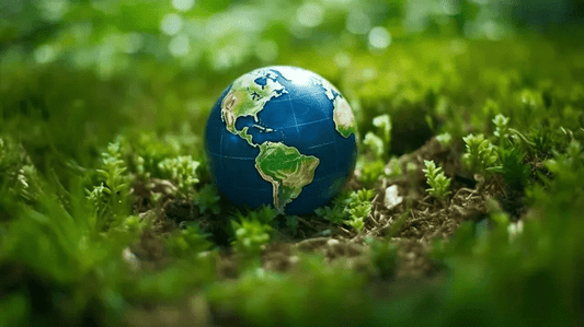 Sustainable Sips: How Choosing Rainbrew Supports the Planet